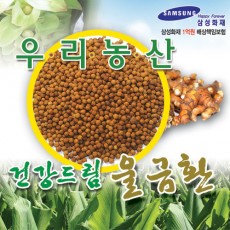 건강드림 울금환 300g